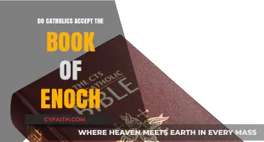 Enoch's Book: Catholic Perspective