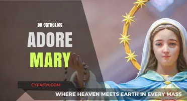 Do Catholics Adore Mary? Exploring Devotion and Misconceptions
