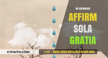 Do Catholics Embrace Sola Gratia? Exploring Grace in Catholic Theology