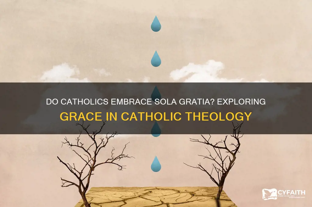 do catholics affirm sola gratia