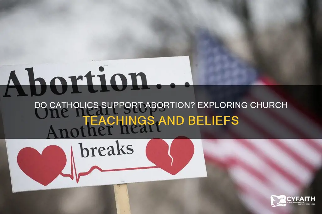 do catholics agree with abortion