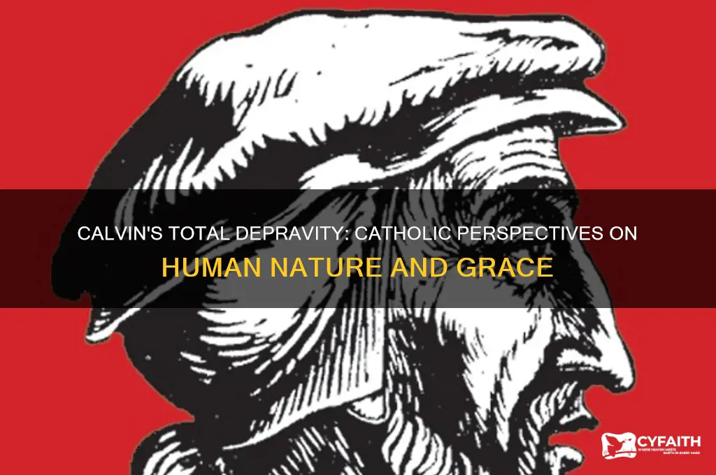 do catholics agree with calvin