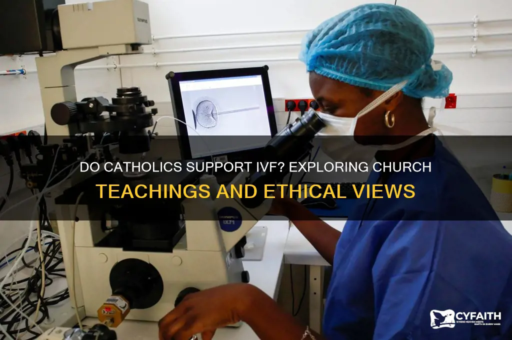 do catholics agree with ivf