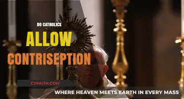 Do Catholics Allow Contraception? Exploring Church Teachings and Practices