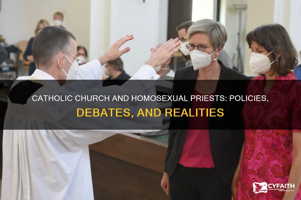 do catholics allow homesexula preiest