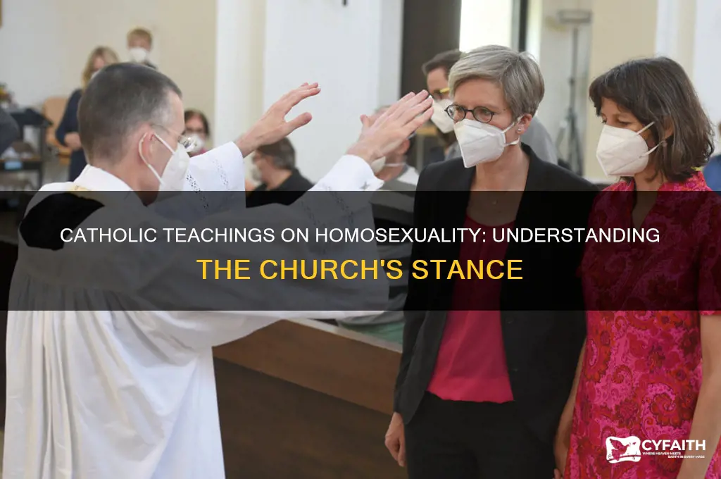 do catholics allow homosexuality