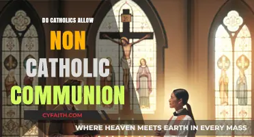 Communion and Catholics: Who Can Partake?