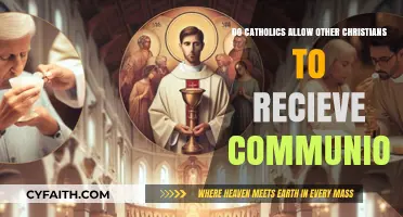 Communion and Catholics: Who Can Receive?