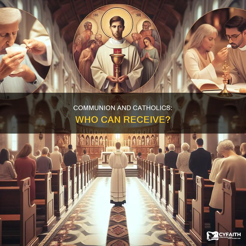 do catholics allow other christians to recieve communion