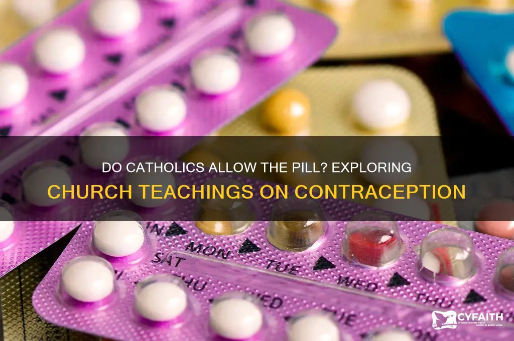 do catholics allow the pill