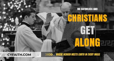Christians and Catholics: United or Divided?