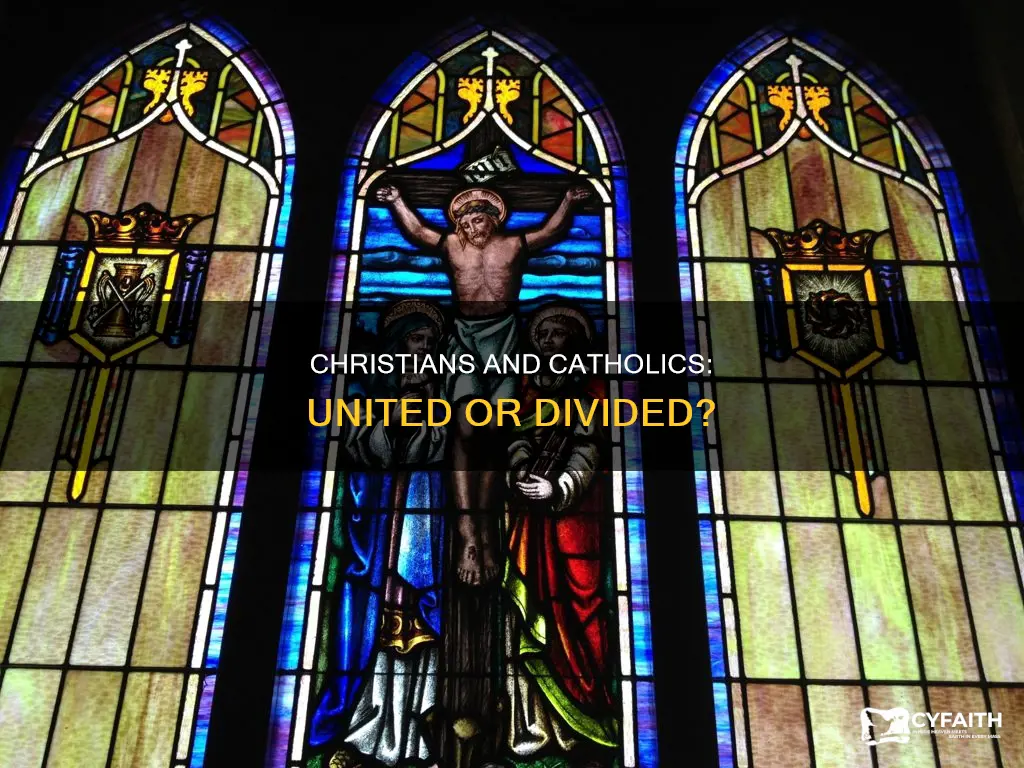 do catholics and christians get along