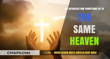 Shared Heaven: Catholics and Christians' Eternal Destiny Explored