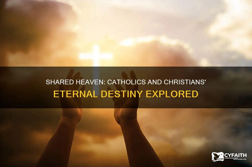 do catholics and christians go to the same heaven