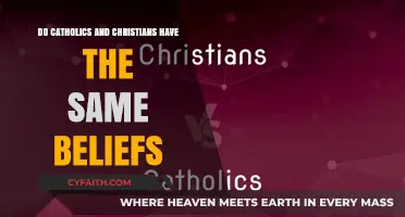 Christianity and Catholicism: What Are the Key Differences?