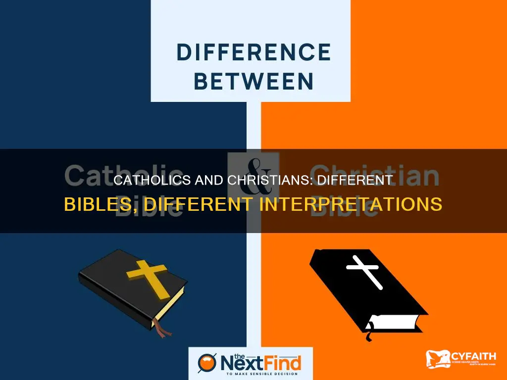 do catholics and crhirtsians use the same bibke