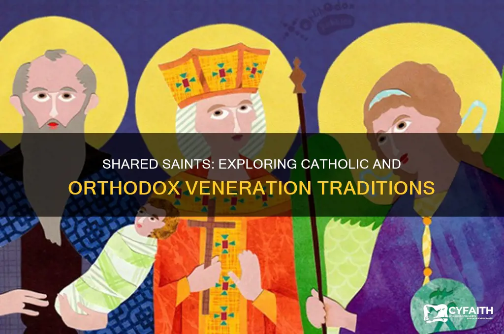 do catholics and orthodox share saints