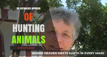 Hunting Animals: Catholic Perspective and Approval