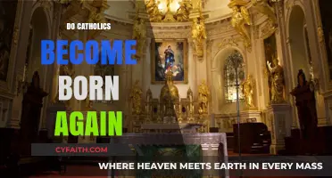 Do Catholics Experience Born-Again Transformation? Exploring Faith and Renewal
