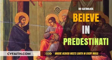 Do Catholics Believe in Predestination? Exploring Catholic Doctrine and Free Will