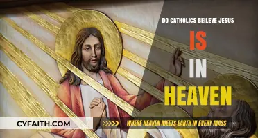 Jesus in Heaven: Catholic Beliefs Explained