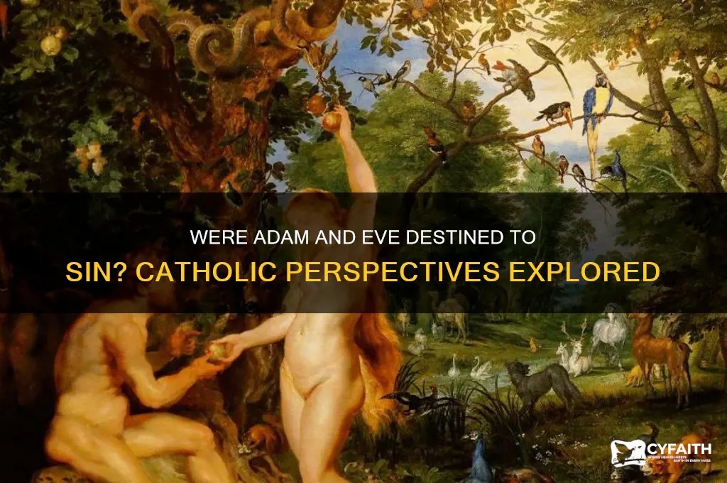 do catholics beleive adam and eve were supposed to sin