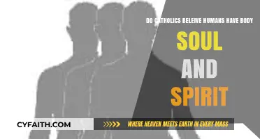 Do Catholics Believe Humans Have Body, Soul, and Spirit?