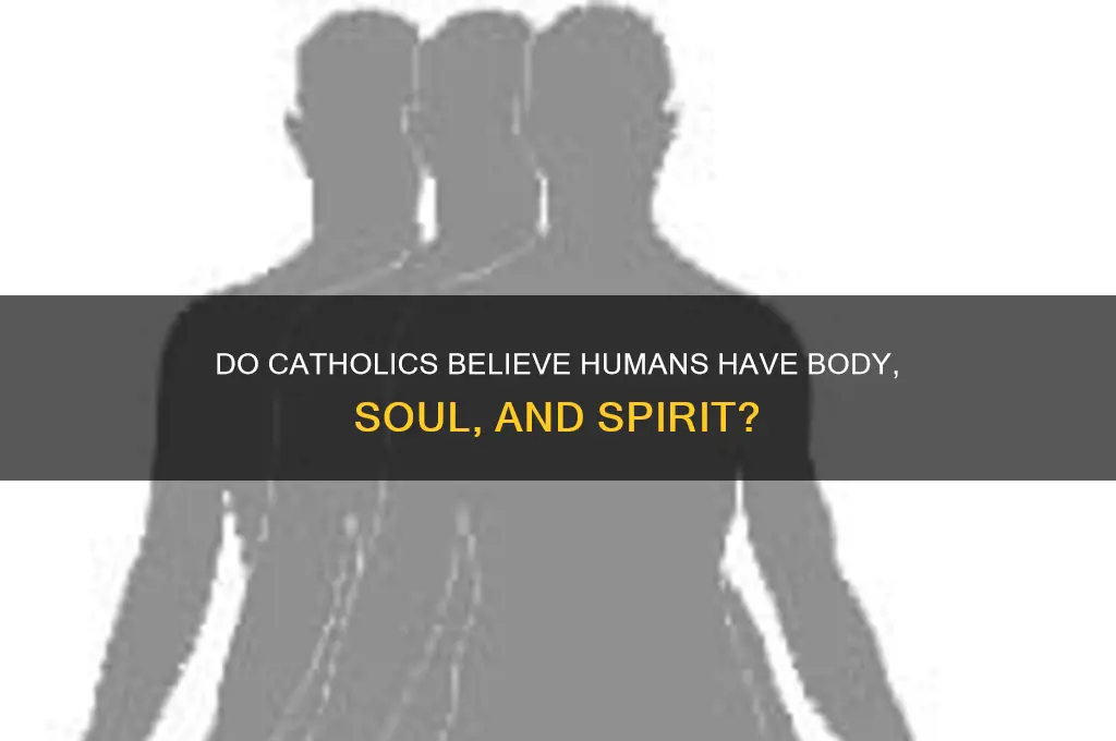 do catholics beleive humans have body soul and spirit