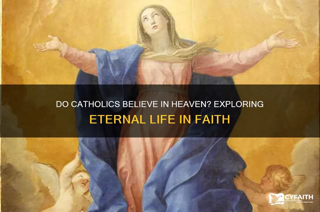do catholics beleive in heaven