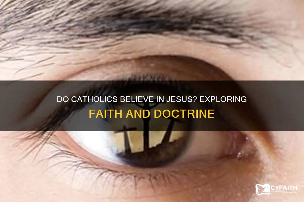 do catholics beleive in jesus
