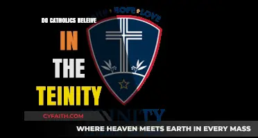 Catholics and the Trinity: What's the Belief?