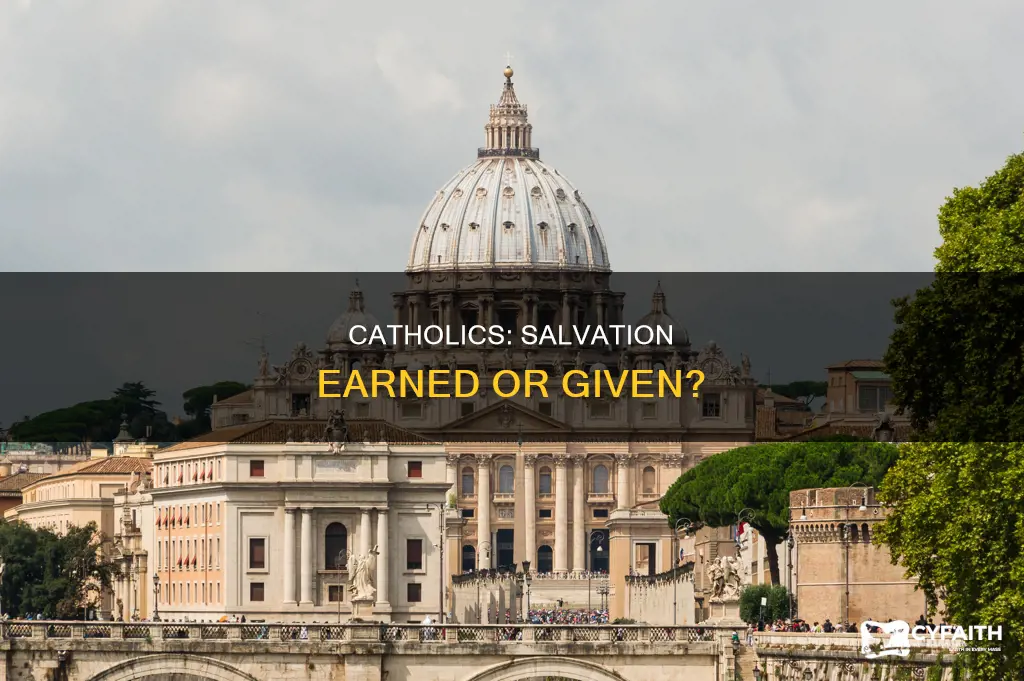 do catholics beleive that they earn their salvation