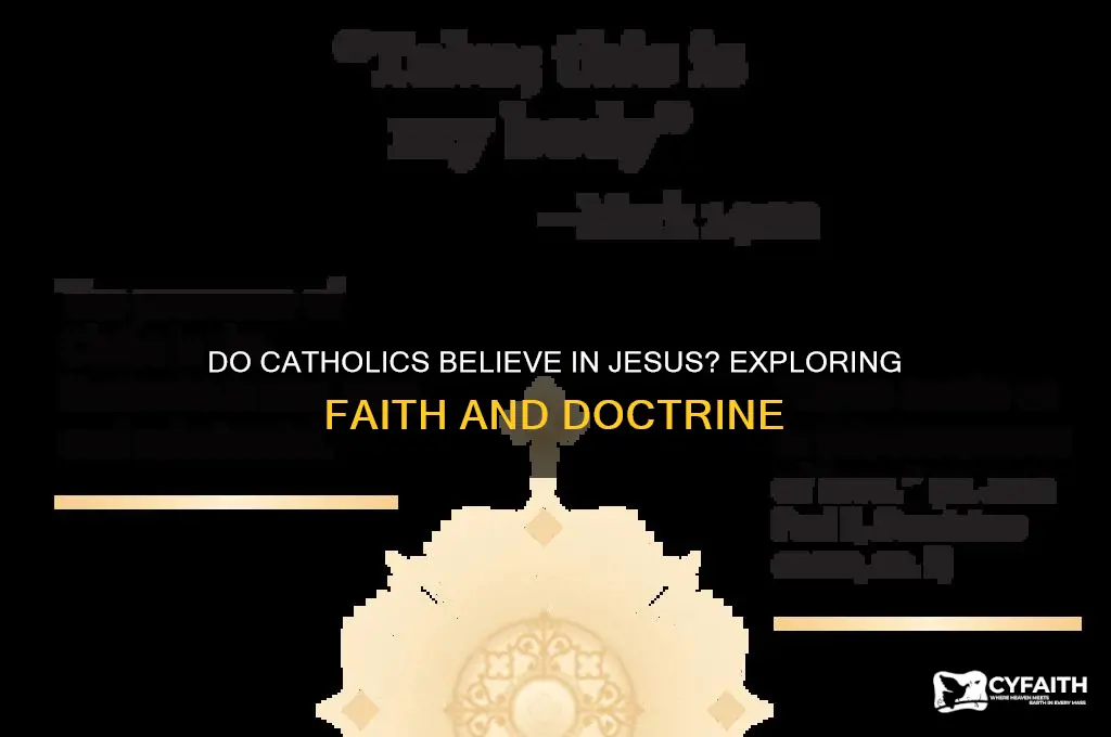 do catholics belie injesus