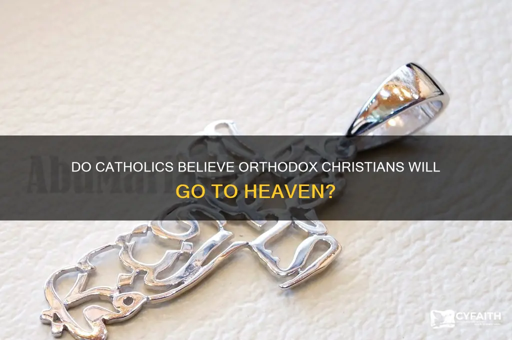 do catholics believe orthodox are going to heaven