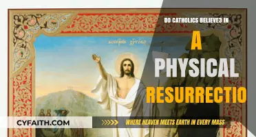 The Physical Resurrection: A Catholic Belief Explored