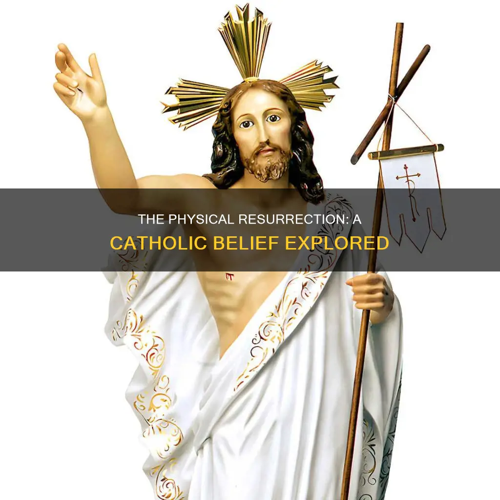 do catholics believe3 in a physical resurrection
