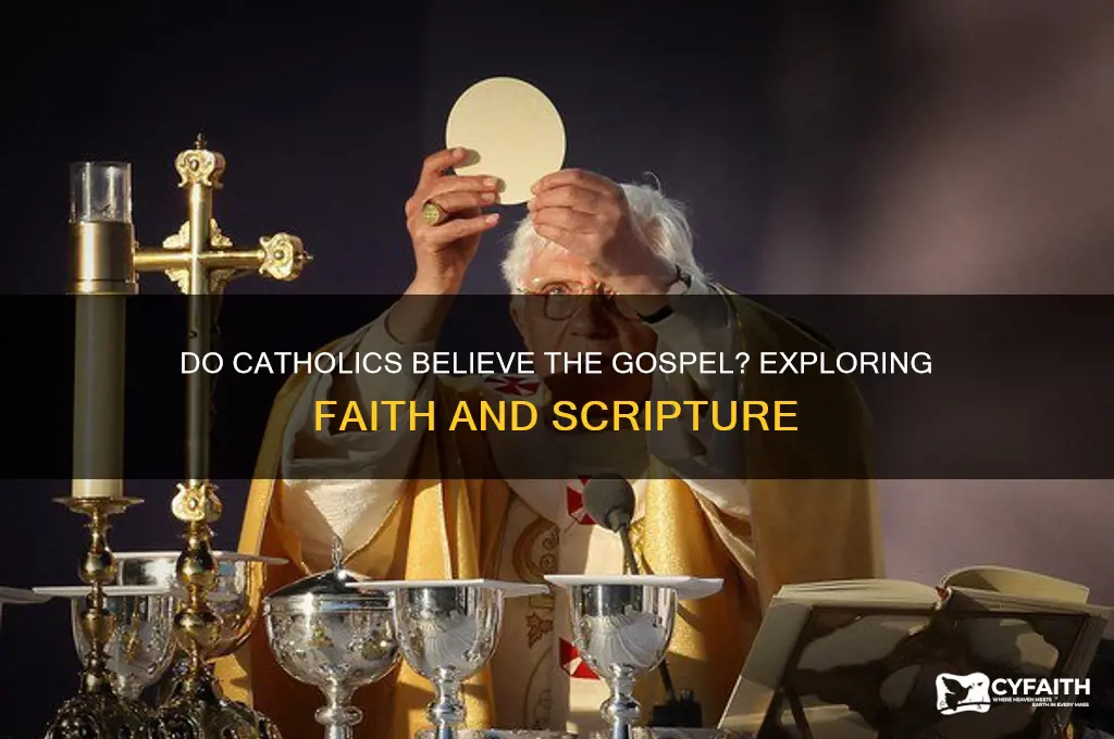 do catholics believr the gospel