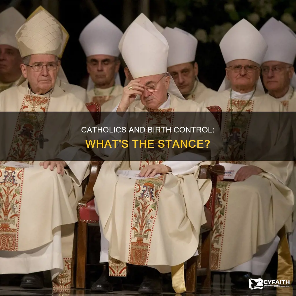 do catholics belive in birth control