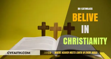 Do Catholics Believe in Christianity? Exploring Faith and Identity