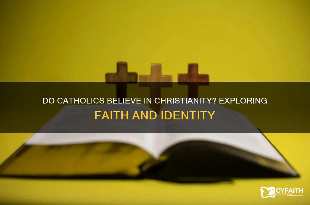 do catholics belive in christianity