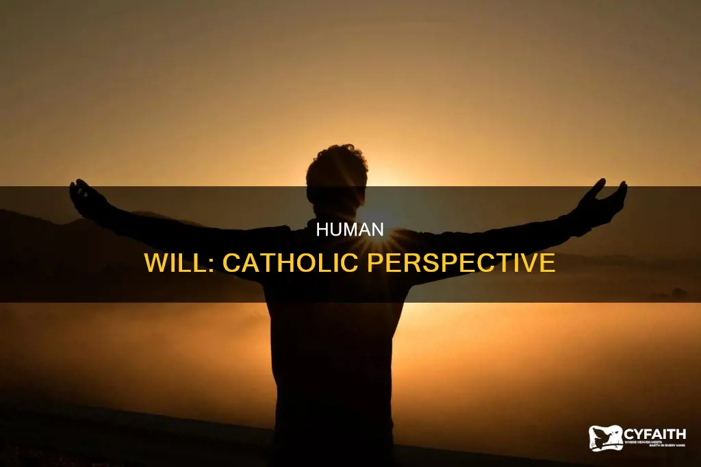 do catholics belive in human will