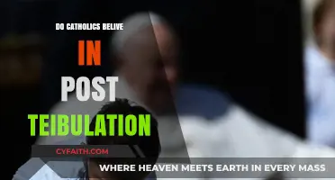 Catholics and Post-Tribulation: What's the Belief?