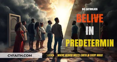 Do Catholics Believe in Predetermination? Exploring Free Will and Divine Providence
