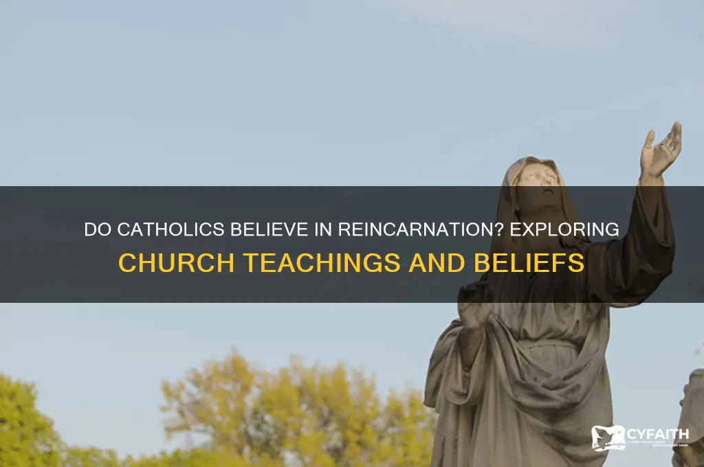 do catholics belive in reincarnation