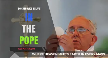 The Pope: Catholics' Spiritual Leader and Guide