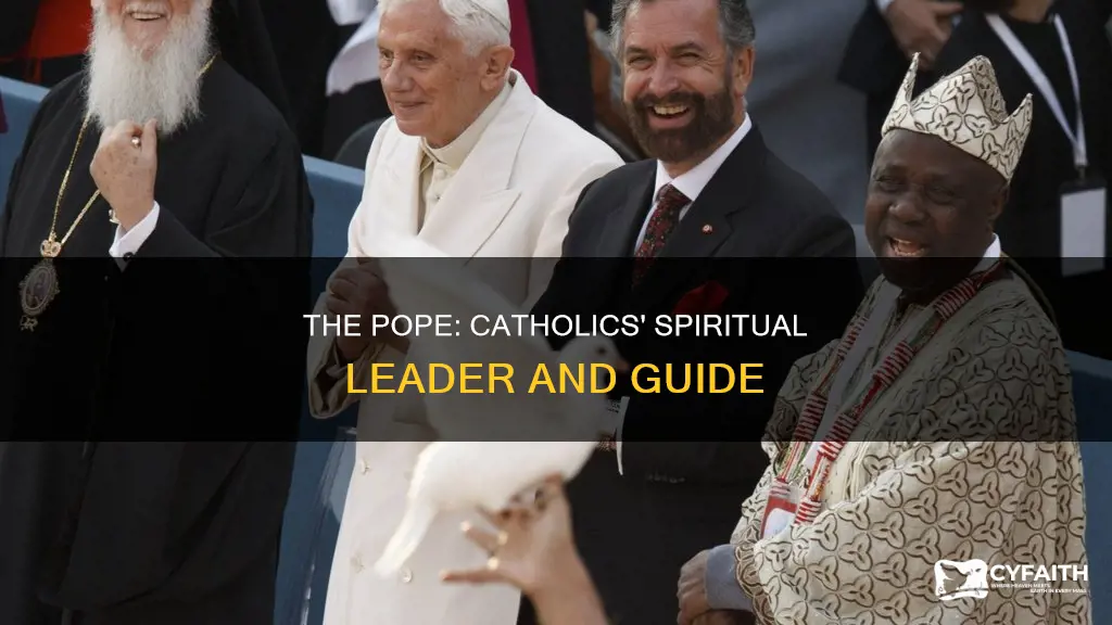 do catholics belive in the pope