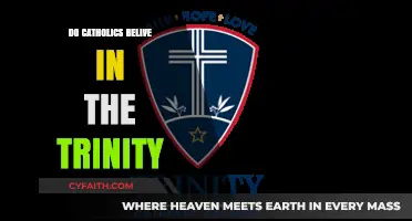 Catholics and the Trinity: What's the Belief?