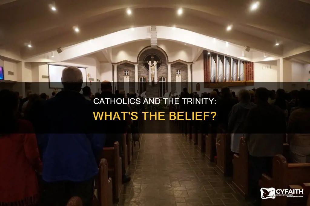 do catholics belive in the trinity