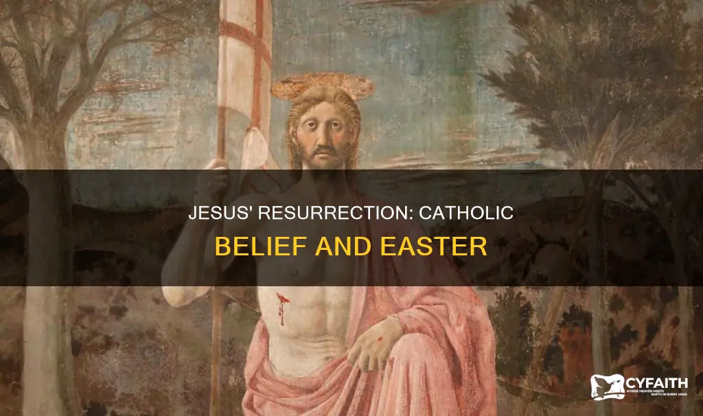 do catholics belive jeause rose on easter