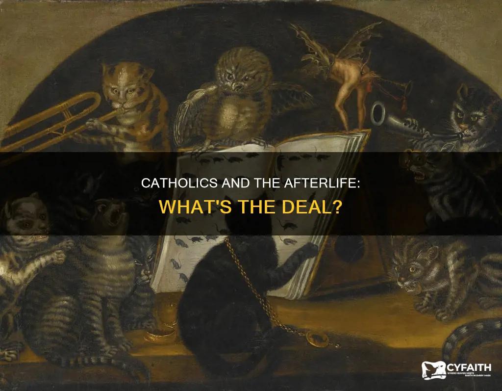 do catholics belive their dead are sti